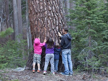 Jay with the kids and a big tree